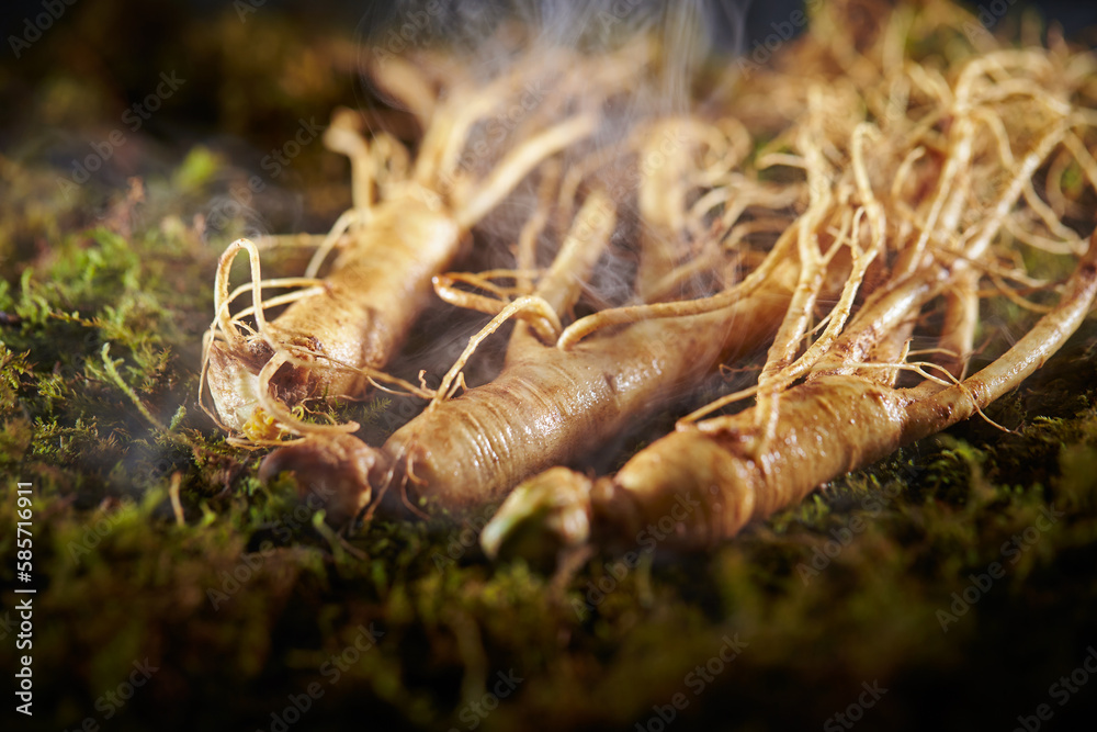 Canvas Prints ginseng, ginseng on moss background