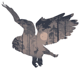 Flying owl silhouette. Inside the night landscape with forest and deer. Vector illustration	 - 585718378