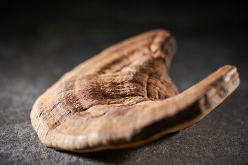 Dried Reishi Mushroom, traditional herbal medicine