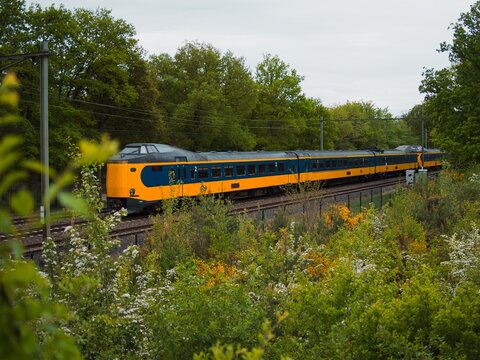 Dutch Train