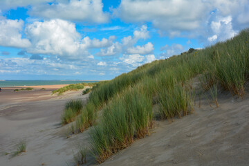 Sand dunes, beach grass and the sea