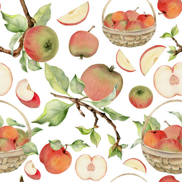 Hand drawn watercolor apple fruits in basket, ripe, full and slices red and green. Seamless pattern. Isolated object on white background. Design for wall art, wedding, print, fabric, cover, card.