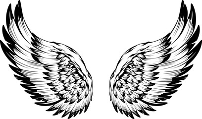 Bird wings illustration tattoo style. Hand drawn design element.