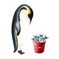 Watercolor king penguin with red bucket full of fish. For designers, decoration, postcards, wrapping paper, scrapbooking, cover and logos, invitations, posters and textile