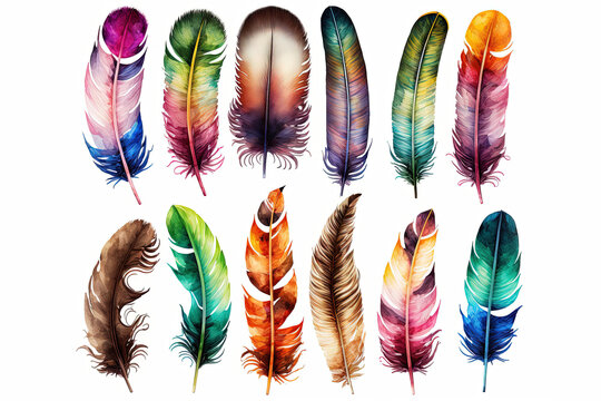 Flat watercolor feather Set of watercolor bird feathers. Hand-drawn vector illustration Generative Ai