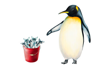 Watercolor king penguin with red bucket full of fish. For designers, decoration, postcards, wrapping paper, scrapbooking, cover and logos, invitations, posters and textile