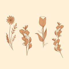 Collection of Hand Drawn Flowers Element Ornament 
