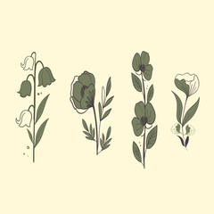 Collection of Hand Drawn Flowers Element Ornament 
