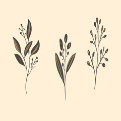 Collection of Hand Drawn Flowers Element Ornament 
