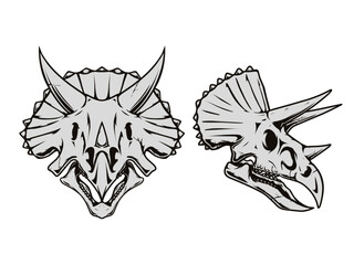 A drawing of a triceratops skull © raul valeska