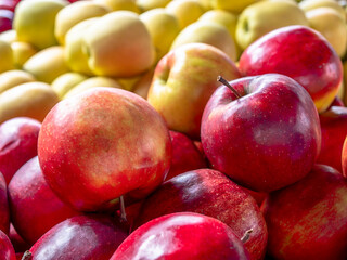 Fresh, organic red apples closeup and green on the blurred background. Sweet and juicy vegan food.