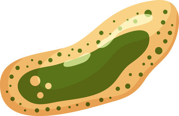 Examples of gram-negative and gram-positive bacteria in magnifying glass.Disease virus cell medical microbiology studying bacteria and grams Vector illustration. Vibrios.