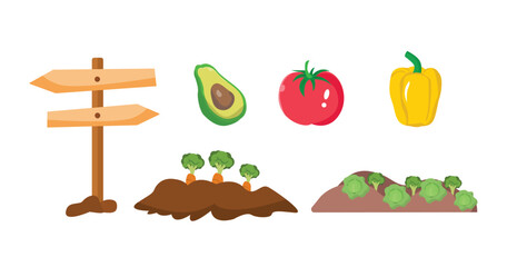 Cultivation of vegetable gardens. Garden road signs, avocado, red tomato, yellow pepper, carrot plot, broccoli plot.