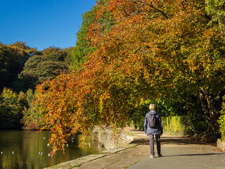 A senior takes a leisurely autumn stroll beside the lower reservoir and woodland at Chellow Dene, one of Bradford District's favourite places to unwind and exercise