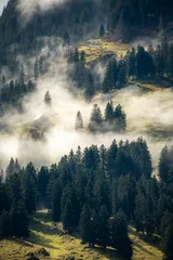 Tuinposter Mistig bos A forest from above immersed in fog