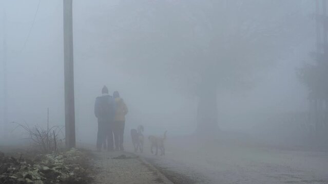Foggy forest with a young family and a dog hiking on the empty concrete mountain road