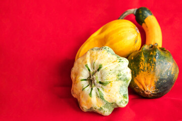 close up of a different pumpkin on red background