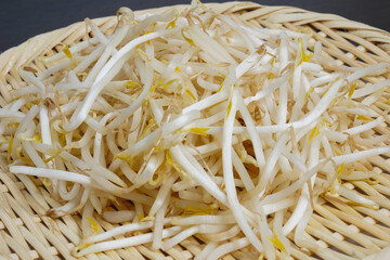 もりもりのもやし