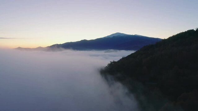 Flying along the edge of clouds at dawn, which create mist in the mountain forrest