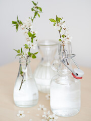 kwiaty wiśni © magda