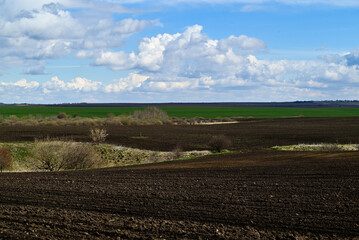 A field ready for sowing wheat. The rich, dark soil has been tilled into rows, with visible clumps of earth scattered across the ground.