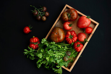 Kitchen still life, tomatoes of different sizes and varieties on a dark background. greenery...