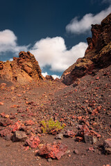 Interior of the crater of El Cuervo Volcano in Lanzarote,  Canary Islands, Spain