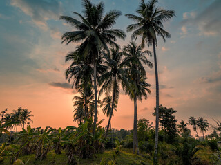 Fototapeta na wymiar Sundown in Thailand