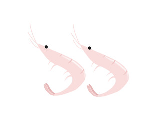 富山名産白エビ