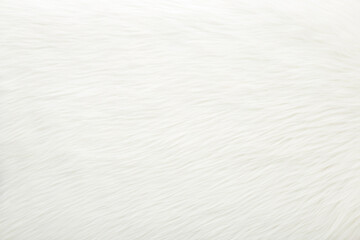 Light white fur background. Empty place for text. Top down view. Closeup.
