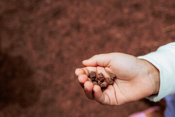 kid with hot volcanic rocks in hand
