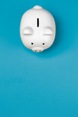 Piggy Bank on colorful background with negative space