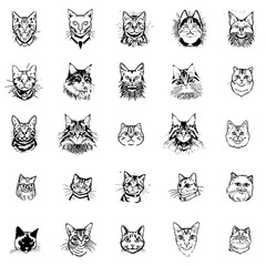 25 verschiedene Skizzen vom Katzenköpfen | different sketches of cat heads