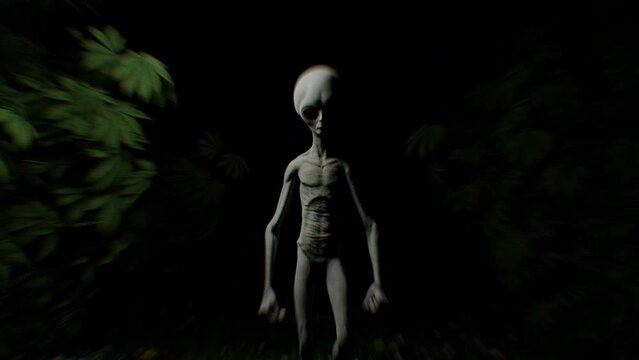 "Alien Silhouette" Images – Browse 64 Stock Photos, Vectors, and Video ...