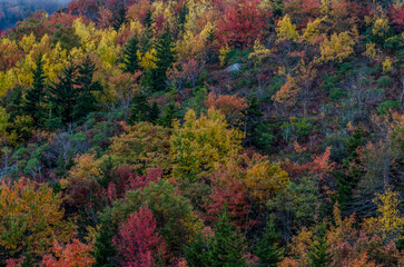 Muted Fall Colors in the Blue Ridge Mountains