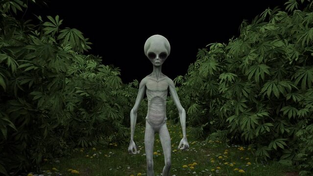 Extraterrestrial creature walking inside weed forest Ufo Body Trippy Vj loop Matte Background 3D Alien Walk 4k Daylight Texture 