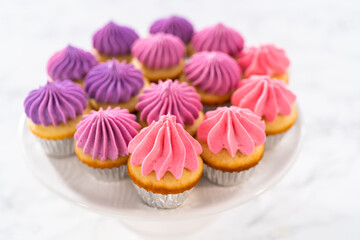 Mini Vanilla Cupcakes with Pink Buttercream Frosting