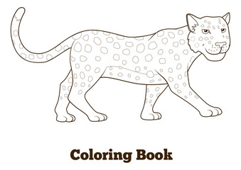 Coloring book leopard african savannah animal PNG illustration with transparent background