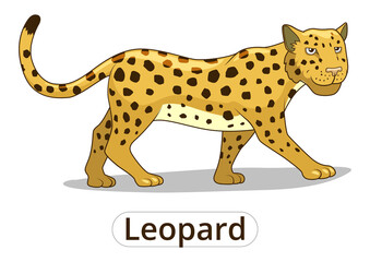 Leopard african savannah animal cartoon PNG illustration with transparent background
