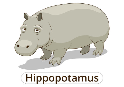 Hippopotamus african savannah animal cartoon PNG illustration with transparent background