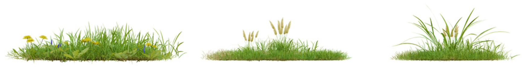 collection green grass PNG transparent , 3d illustration rendering