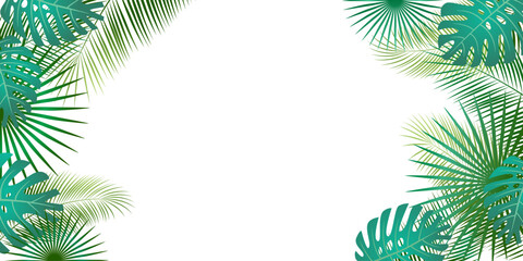 Fototapeta na wymiar Palm leaves on a white background. Green foliage. Tropical background.