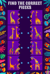 Find the correct pieces of african giraffes kids game worksheet. Vector match the half of cartoon animals puzzle with funny giraffe separated parts in alebrije style. Kids development quiz riddle