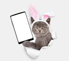 Winking kitten wearing easter rabbits ears holds big smartphone with white blank screen through torn white paper hole. Empty free space for mock up