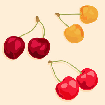 Three cherry berries in red, yellow, and burgundy at an angle. Natural products and dessert. Food icons.