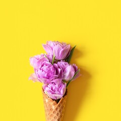 Wafer (waffle) cone with tulips on yellow background. Flower ice cream, spring concept with first flowers, mother's day, top view.