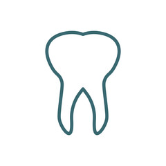 teeth icon. Thin line teeth icon from medical collection. Outline vector isolated on white background. Editable teeth symbol can be used web and mobile