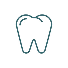 premolar icon. Thin line premolar icon from medical collection. Outline vector isolated on white background. Editable premolar symbol can be used web and mobile