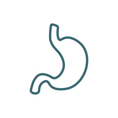 stomach icon. Thin line stomach icon from medical collection. Outline vector isolated on white background. Editable stomach symbol can be used web and mobile
