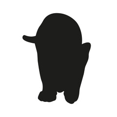 Cat silhouette illustration, cat looks down